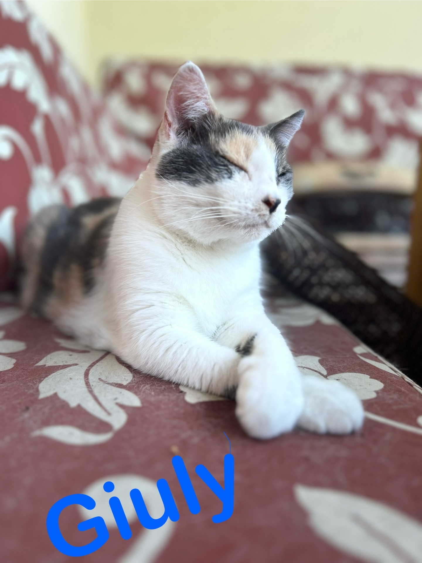 Giuly a casa durante una visita
